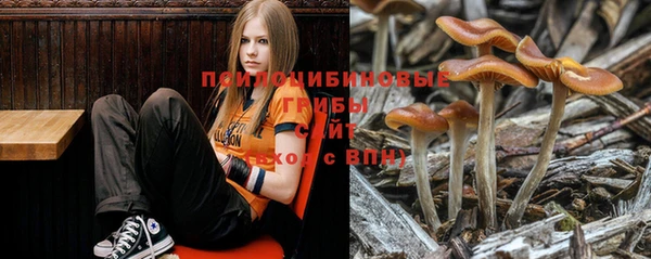 гашишное масло Белокуриха