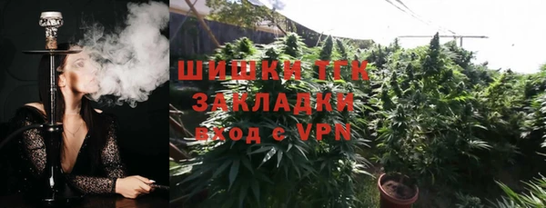 первитин Богородицк
