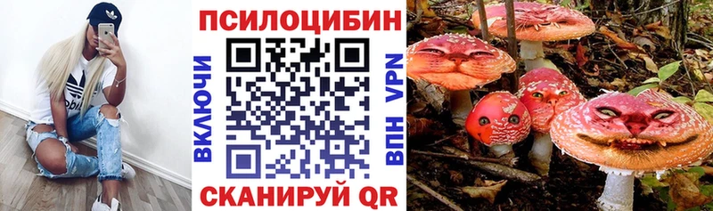 Псилоцибиновые грибы мухоморы  ОМГ ОМГ   Пенза 